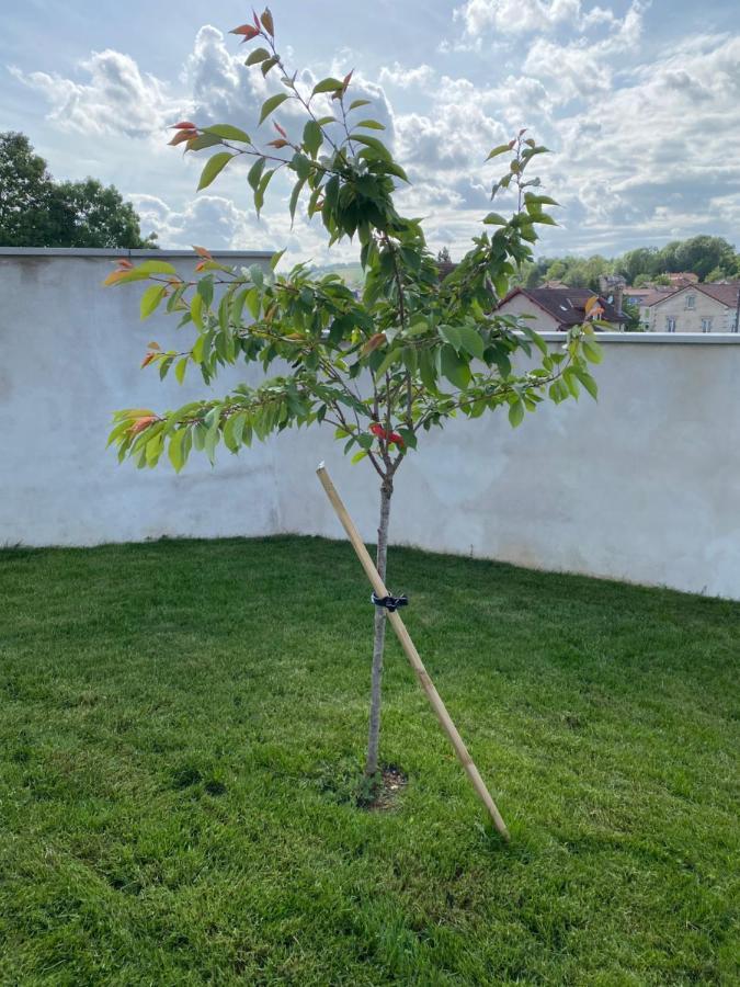 Olga Chambre D'Hote Verdun-sur-Meuse Esterno foto